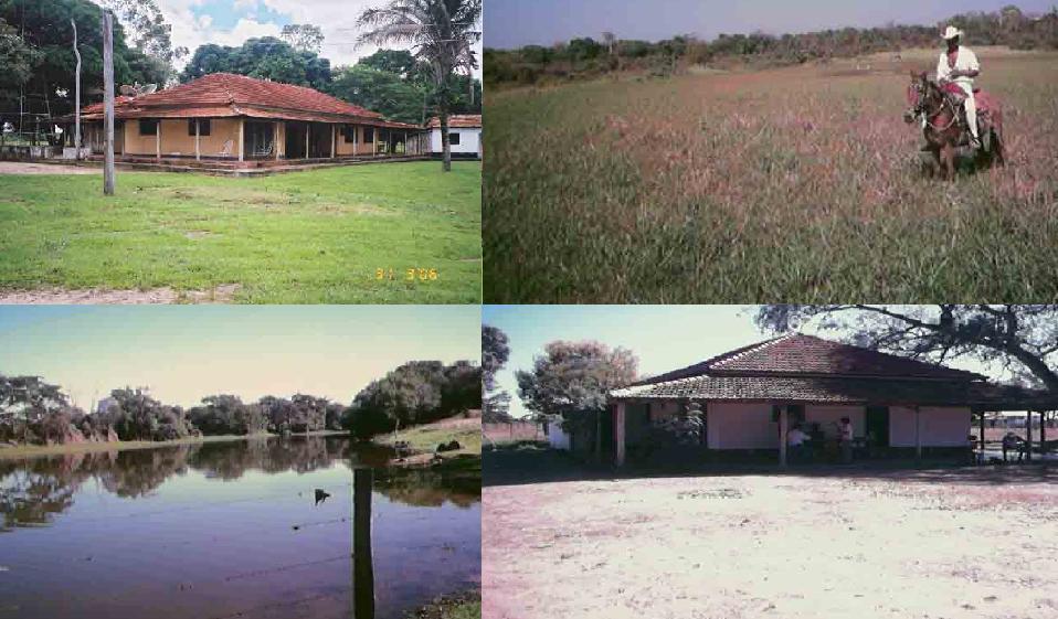 Fazenda de 12.519 mil hectares