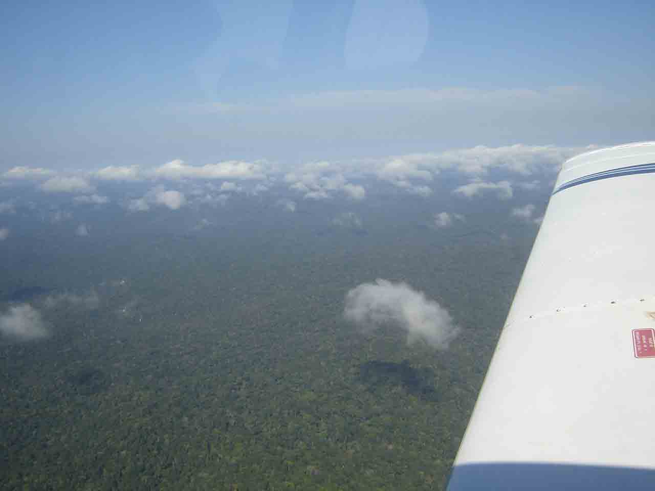 Area no Amazonas com capacidade de produzir mais de 360milhoes