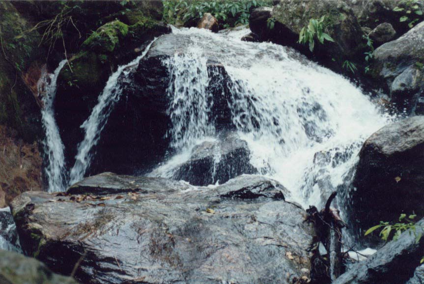 Sítio na Praia de Paúba - São Sebastião -SP