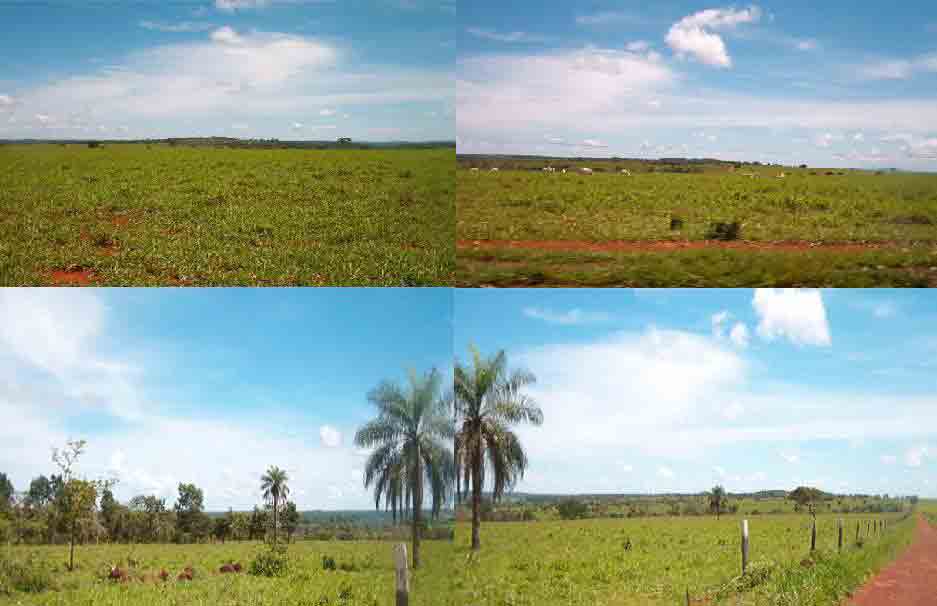 FAZENDA DE 376 ALQUEIRES