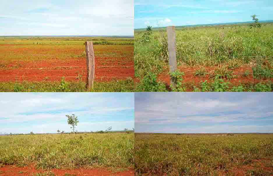 FAZENDA DE 360 ALQUEIRES