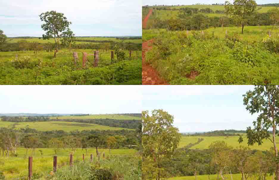 FAZENDA DE 270 ALQUEIRES