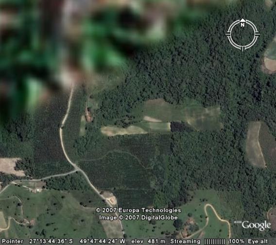 sitio com reflorestamento, investimento garantido.