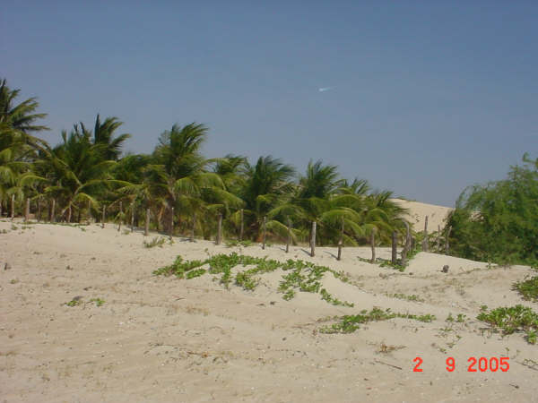 PROPRIEDADE DE 170 HECTARES A BEIRA MAR