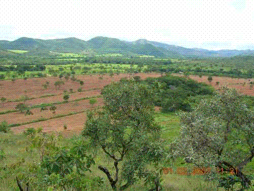 FAZENDA EM NIQUELANDIA - GOIAS - 76 ALQUEIRES