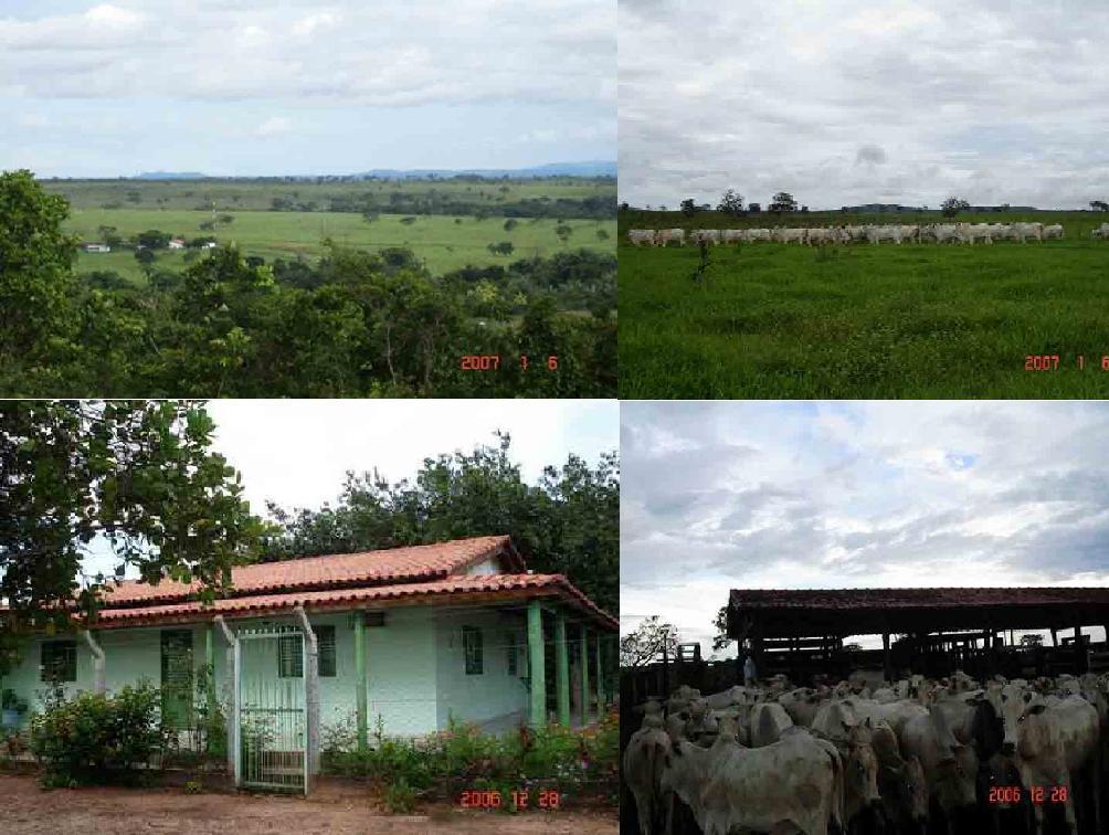 FAZENDA EM BARRA DO GARÇAS MT. , COM 1.182 HÁ.