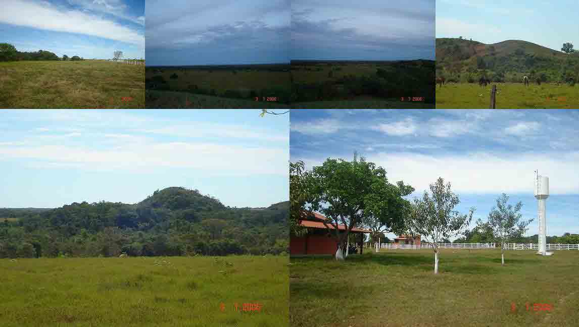 FAZENDA DE 596 ALQUEIRES