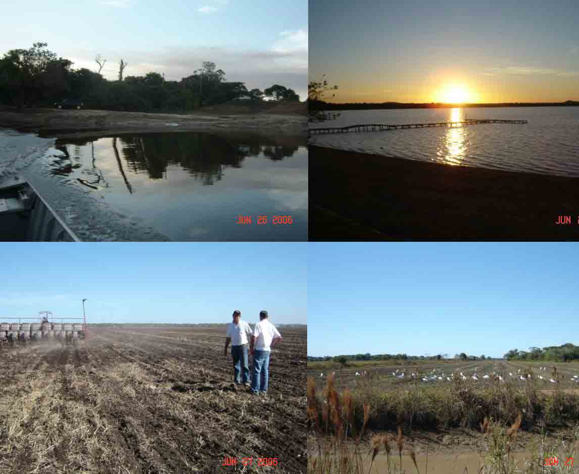 Área: 2.727 alqueires =13.198 hectares.