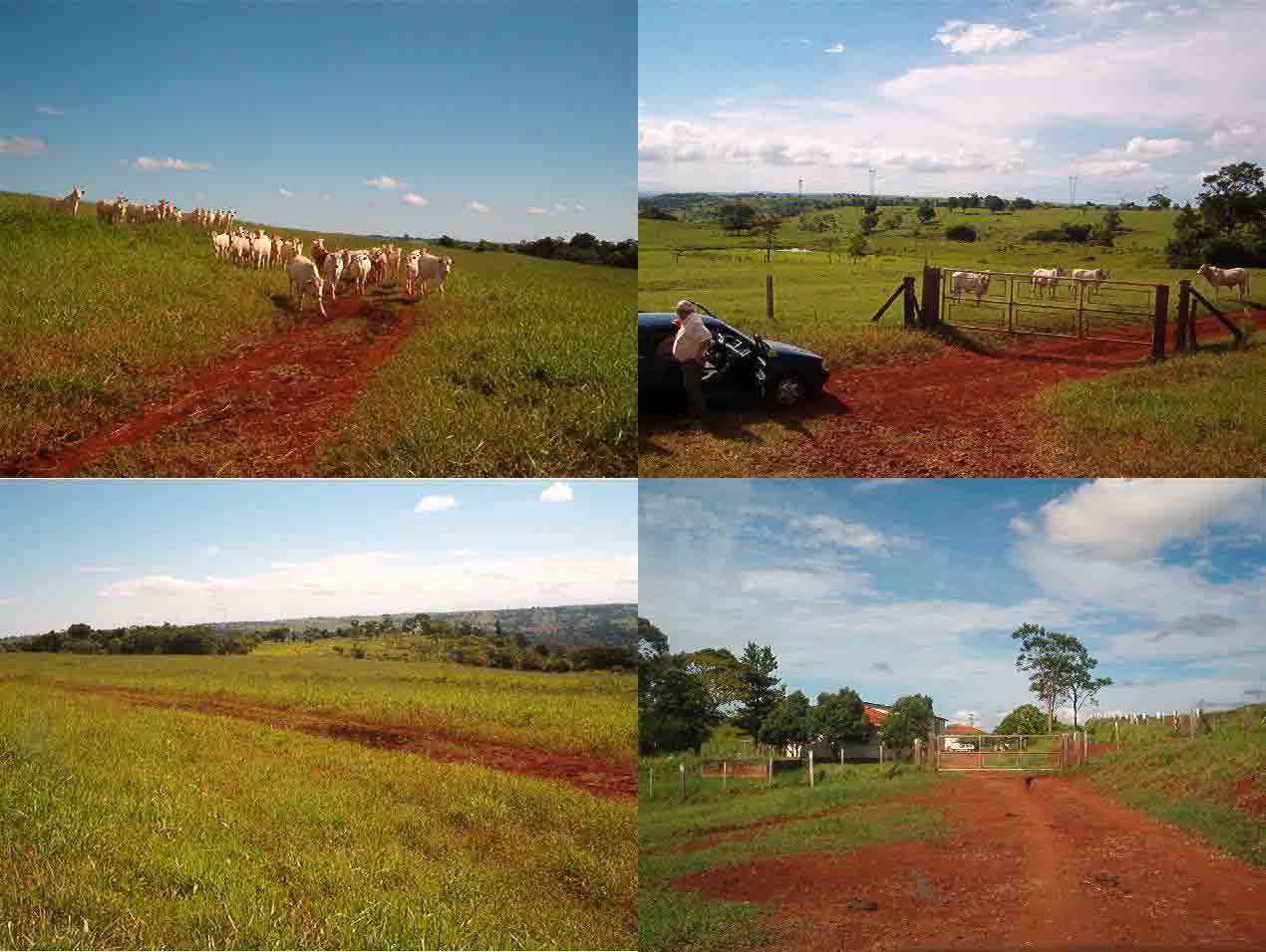 FAZENDA DE 836 ALQUEIRES