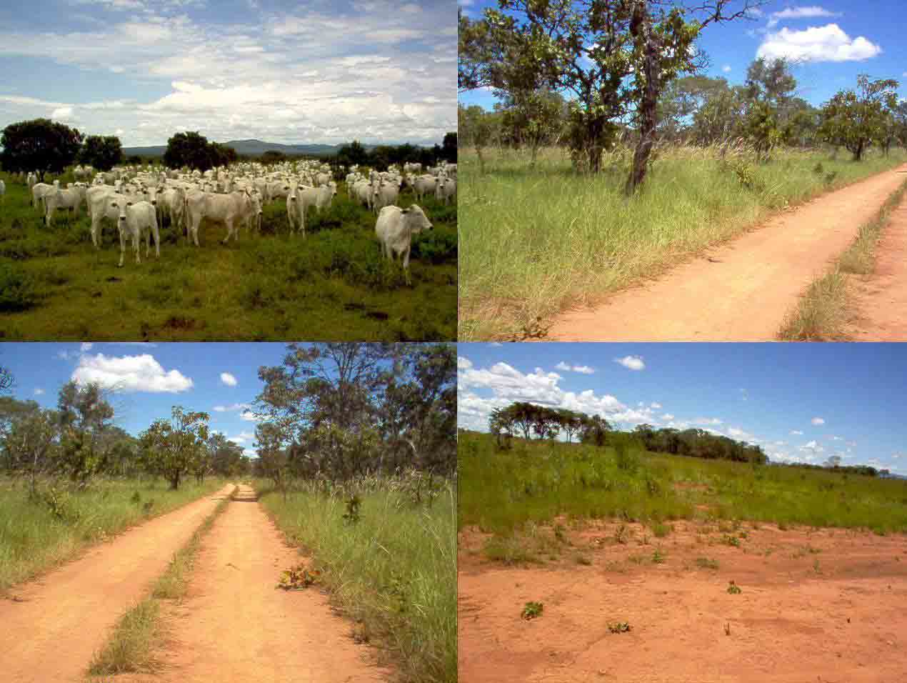 1001 Alqueires = 4.844 Hectares