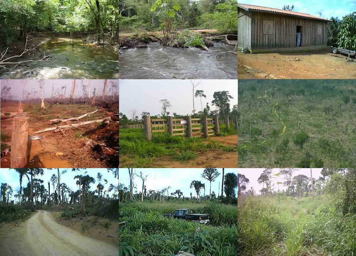 FAZENDA DE 7200 HECTARES