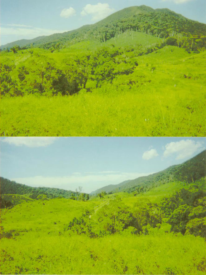 Fazenda de 210 alqueires em Barra do Turco 150 km de Curitiba e 260 de SP