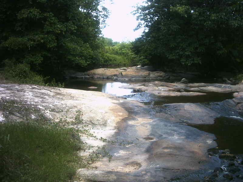 **FAZENDA VALE VERDE**