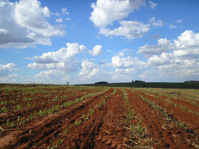 Fazenda de 1512 Alqueires