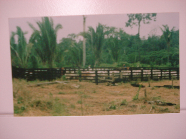 FAZENDA NOVA JERUSALEM