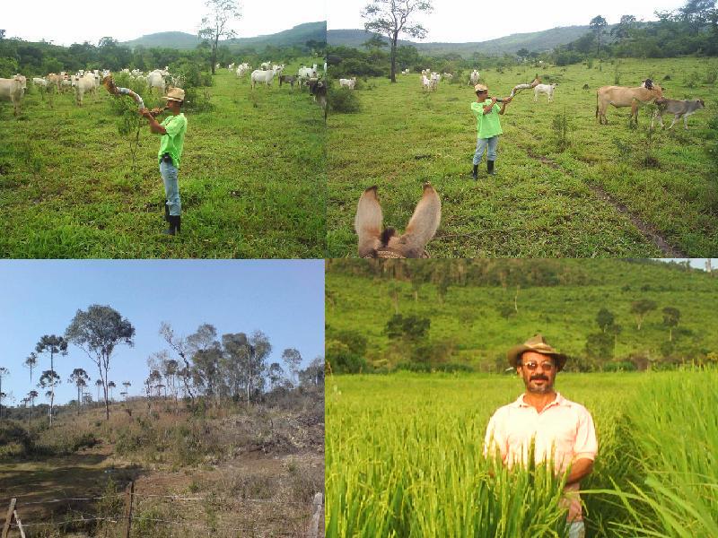 Felicio dos Santos-MG