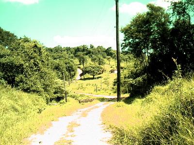 Fazenda na Rodovia Castelo Branco