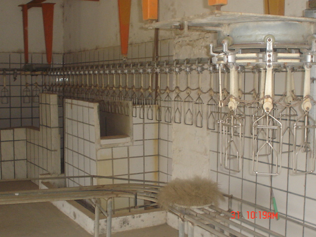 FRIGORÍFICO DE AVES - INTERIOR SP - DESATIVADO