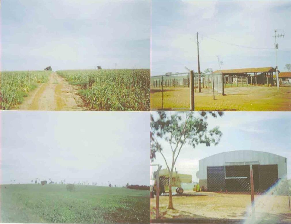 FAZENDA DE  484 ALQUEIRES