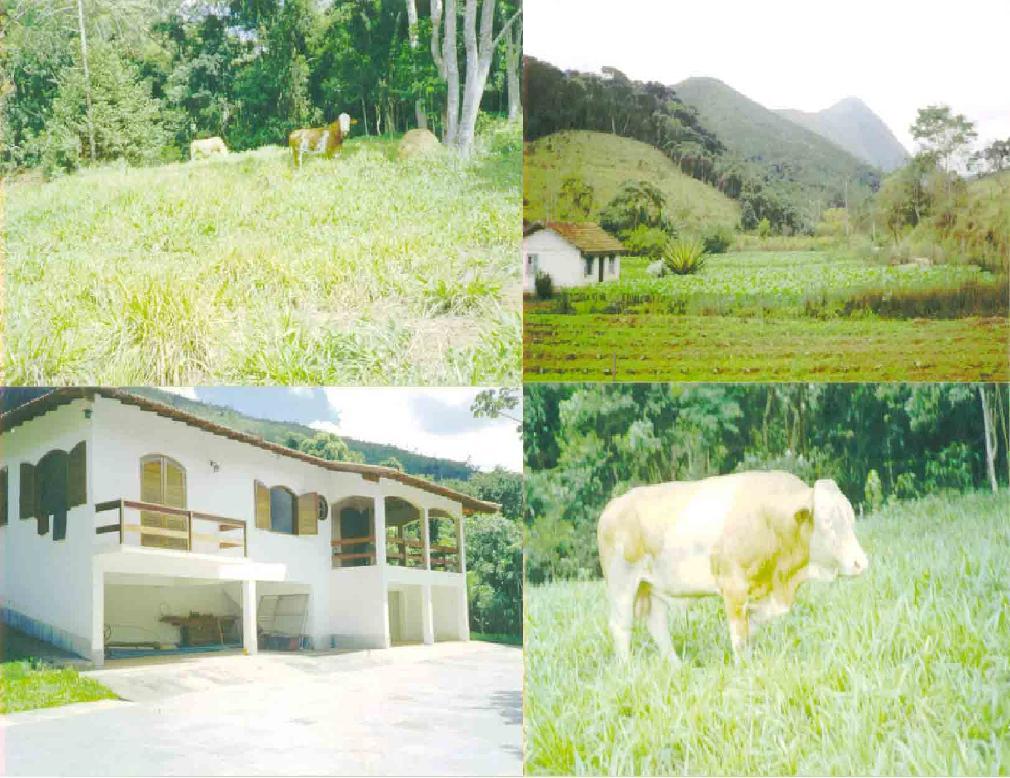 FAZENDA DE 40 ALQUEIRES