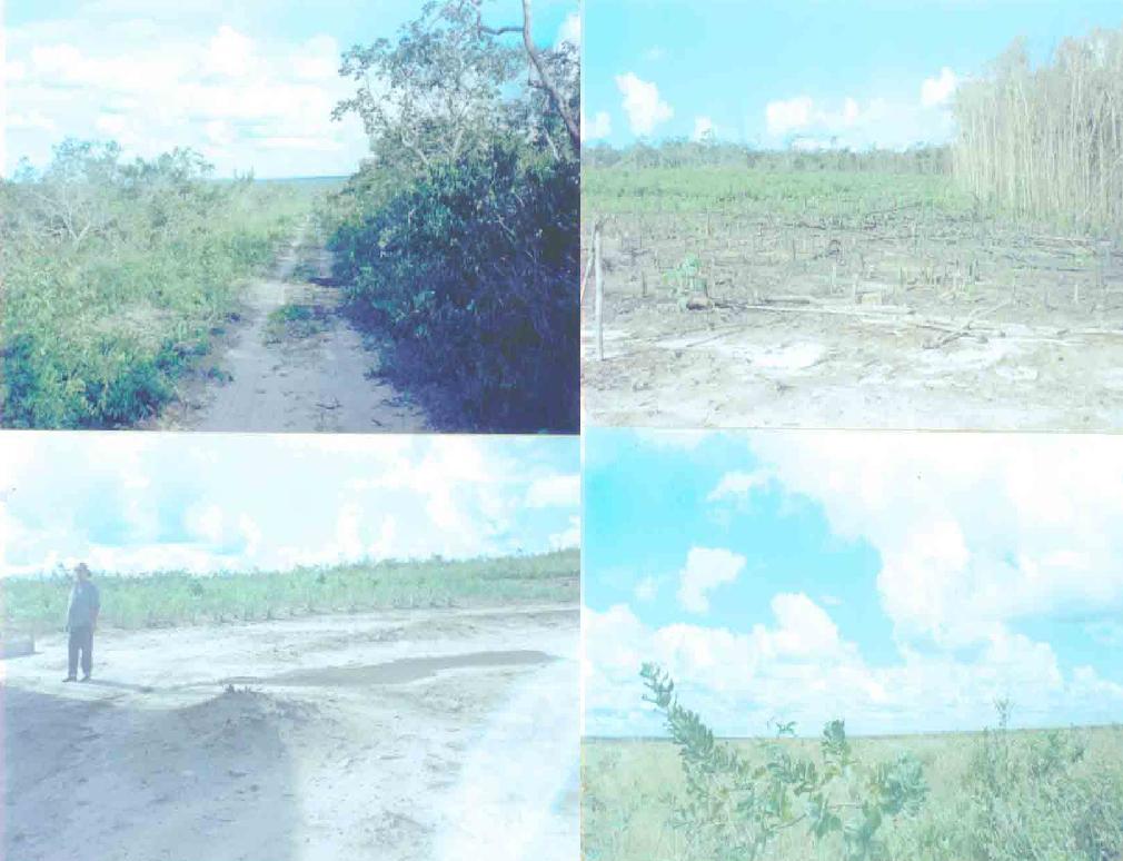 Fazenda de 11 Mil Hectares