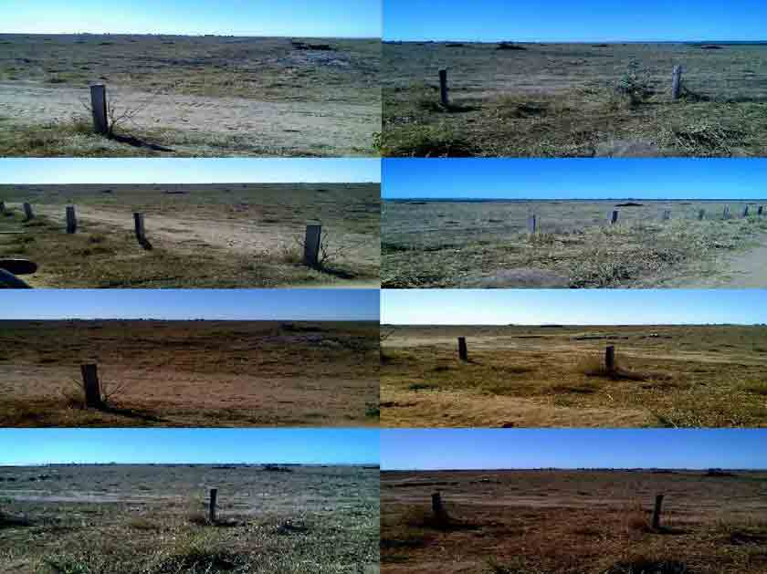 FAZENDA DE  2.433ha  -MT