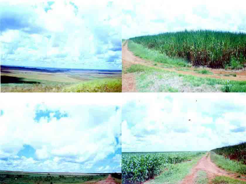 FAZENDA DE 68 MIL HECTARES