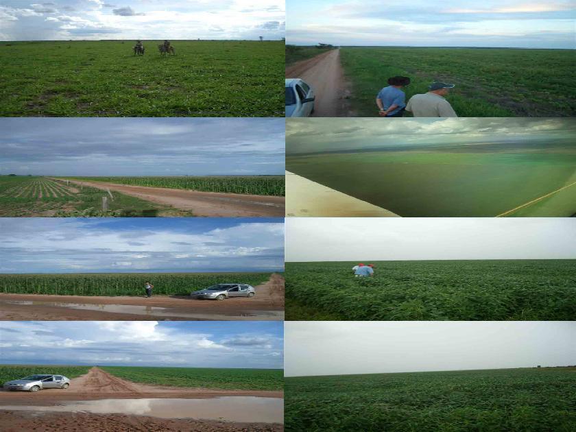 fazenda de 15.000 Ha