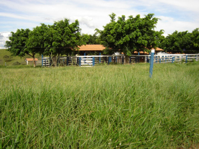 FAZENDA DE 1030 ALQUEIRES