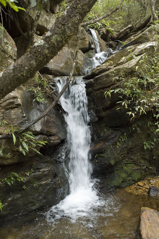 FAZENDA DE 1.316  hectares. sul do goias