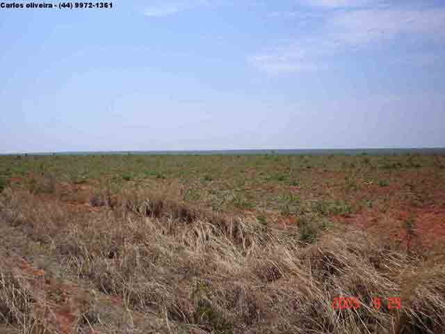 Fazenda de 500 Hectares (Anel da Soja) Promocão!!!!!!!!