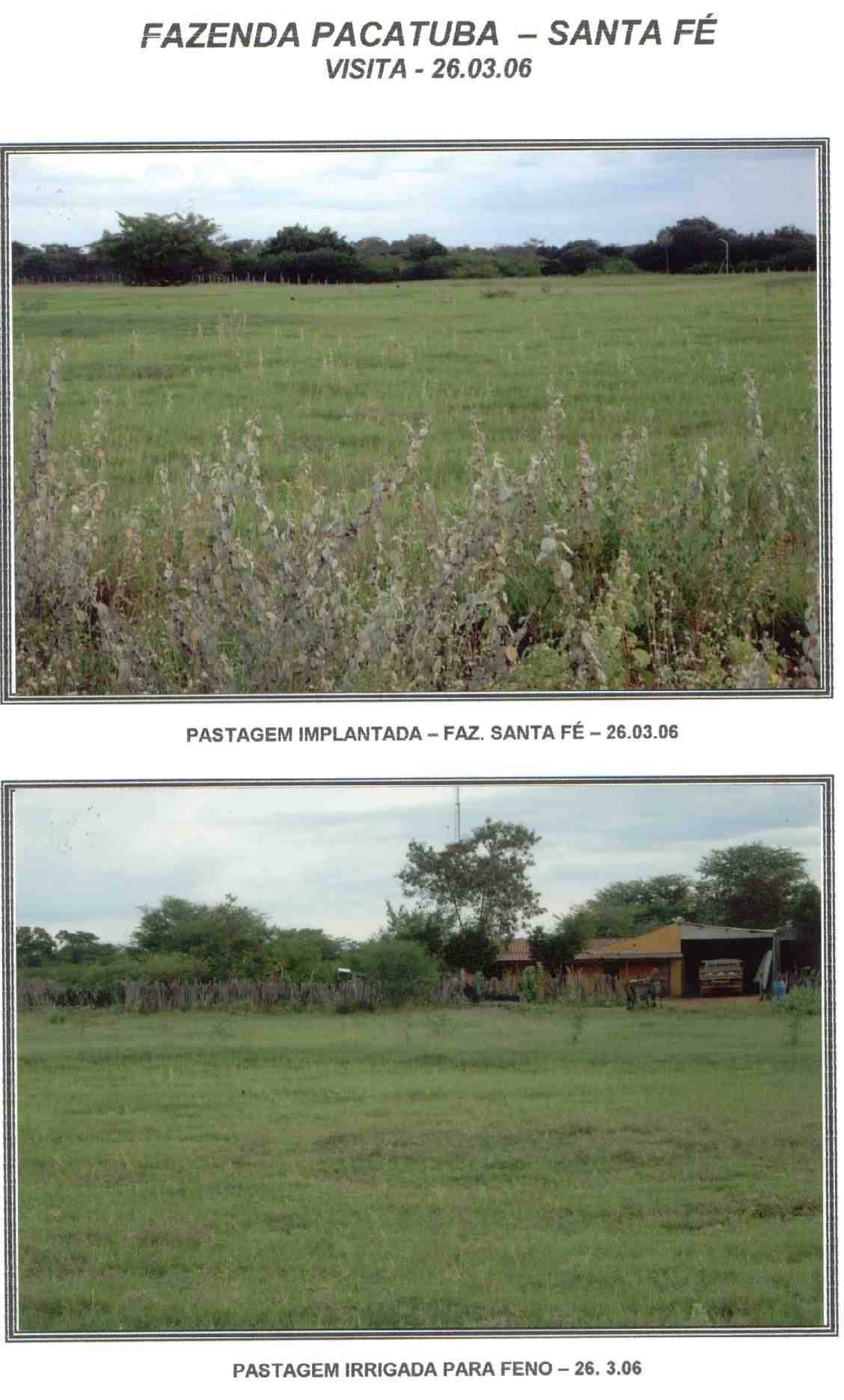 FAZENDA 20000HA EM IRECÊ 100% PLANA.BIODIESEL, SOJA, CANA, PEÃO BRANCO, ETC...