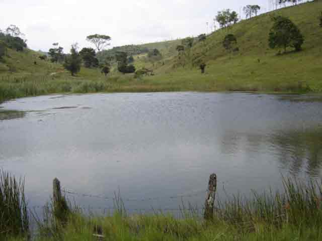 FAZENDA EM JEQUIE - BAHIA - ZONA DA MATA - PARA PECUARIA