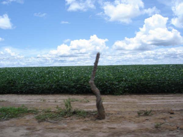 FAZENDA DE 10 MIL HECTARES