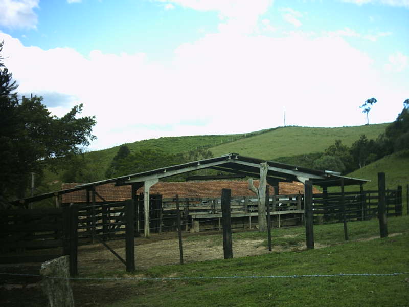 Sítio com área reflorestada