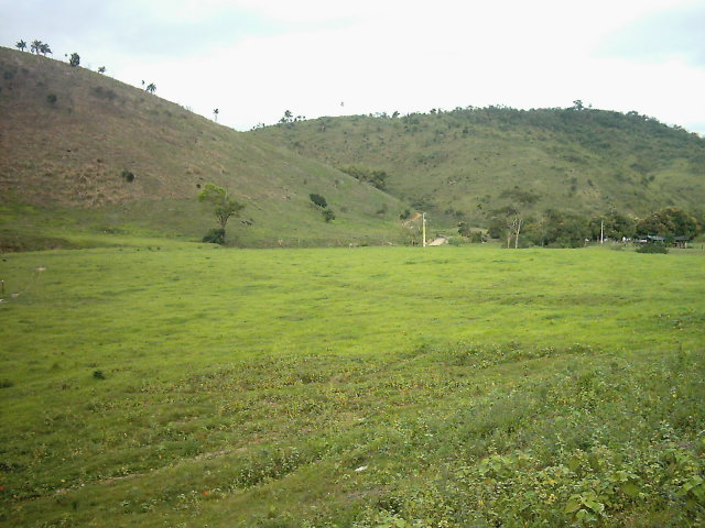 VENDO SÍTIO DE 19 ALQ. EM TEÓFILO OTONI