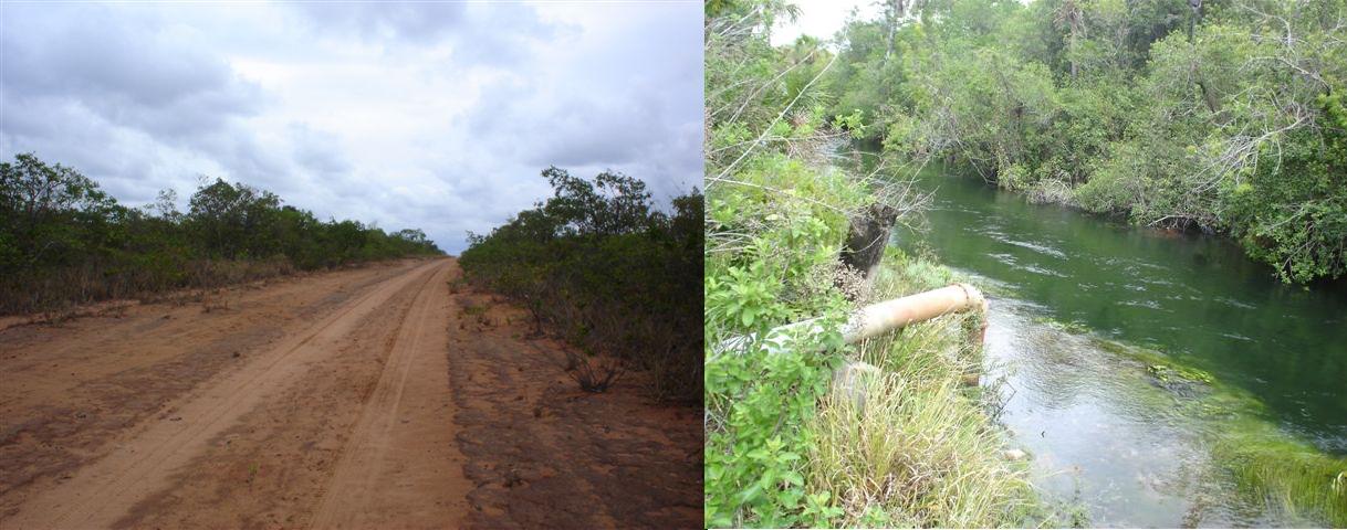 Fazenda de 15000 hectares a beira do Asfalto