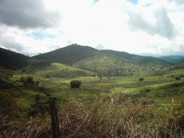 VENDO FAZENDA DE 150 ALQ. EM TEÓFILO OTONI