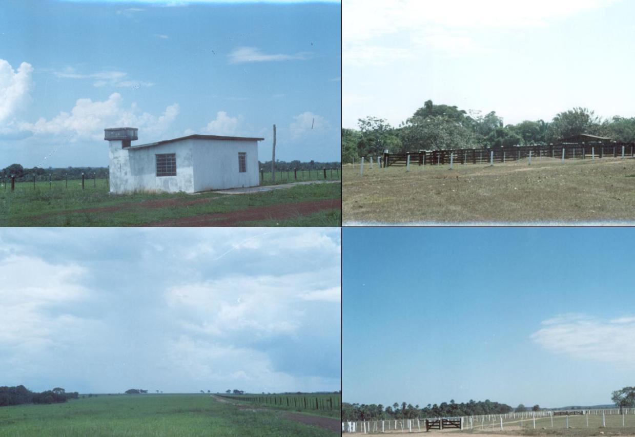 Fazenda de Seis Mil Hectares