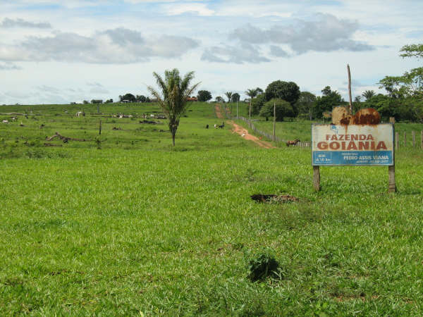 Fazenda de 190 alqueires paulistas