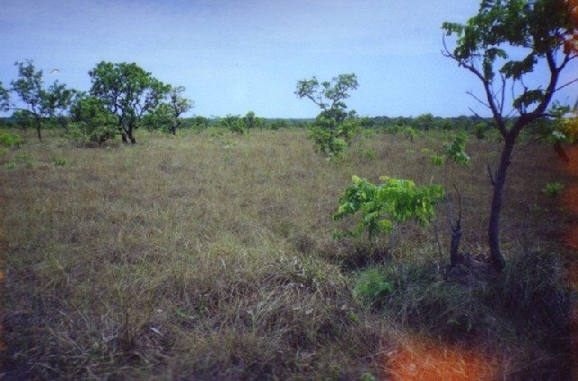 Oportunidade em Fazenda MT