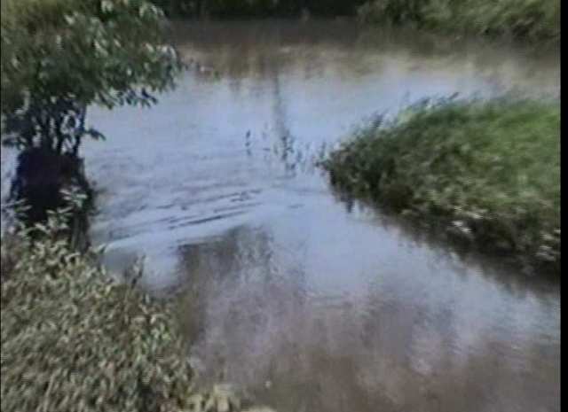 vendo fazenda em araguaina tocantins 1050 hectares so 6km da cidade