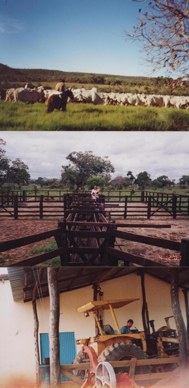 FAZENDA PARA PECUÁRIA, TURISMO RURAL