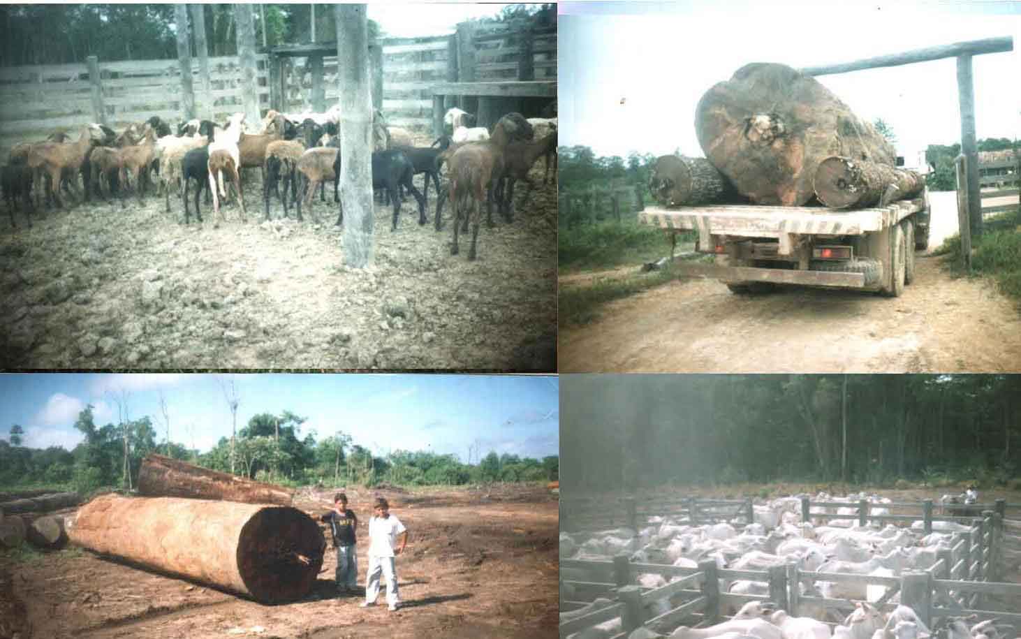 FAZENDA DE 4000 HECTARES