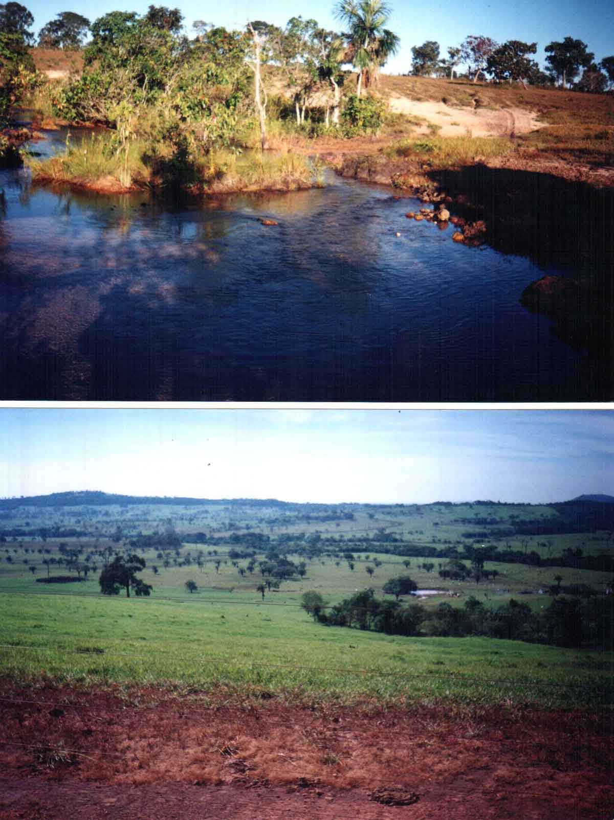 FAZENDA DE 10 MIL HECTARES IMPERDIVEL