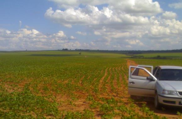 540 hectares para soja ou cana  