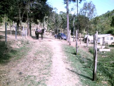 Fazenda de 50 alqueires