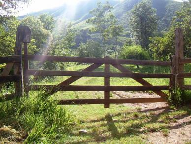 Fazenda de 97 Alqueires