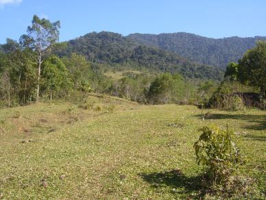 Fazenda 150 alqueires