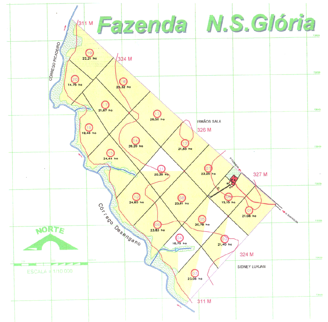 FAZENDA DE 200 ALQUEIRES EM UMUARAMA